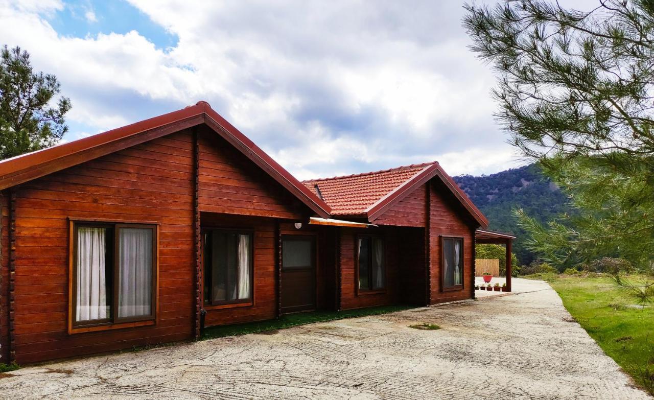 The Cosy Mountain Cabin With Stunning Views Near Troodos Kato Amiandos Ngoại thất bức ảnh