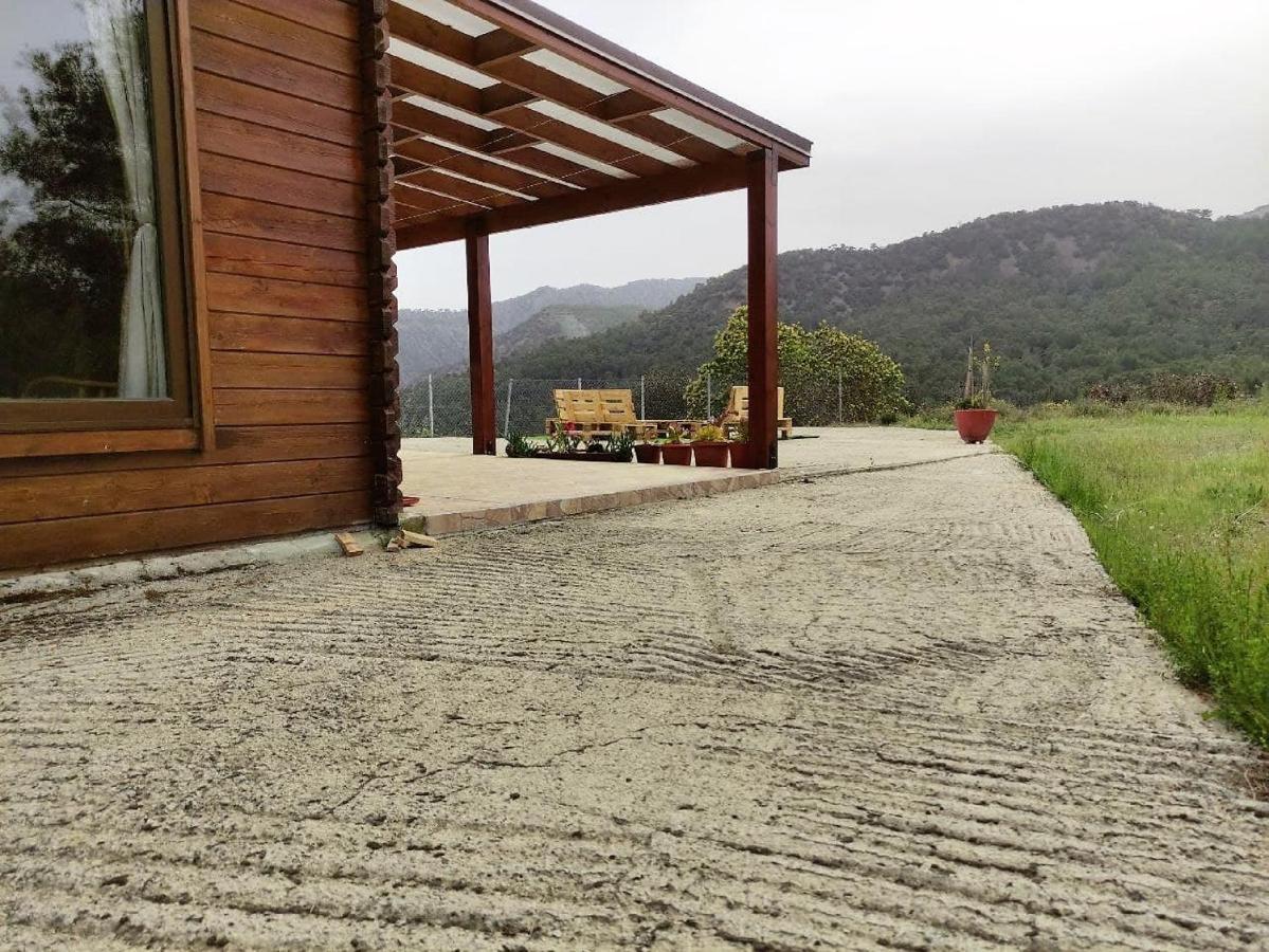 The Cosy Mountain Cabin With Stunning Views Near Troodos Kato Amiandos Ngoại thất bức ảnh